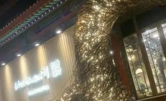 独吞塔可