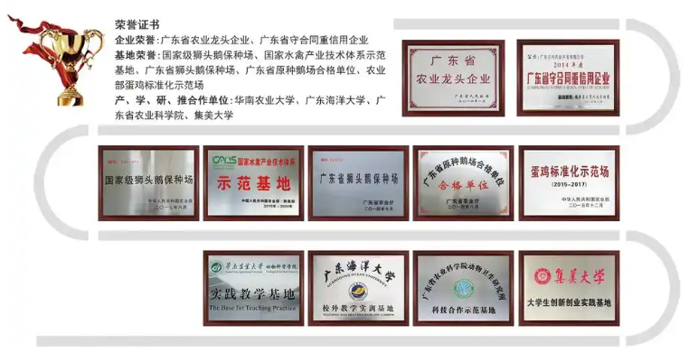 立兴农业