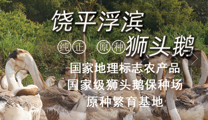 立兴农业