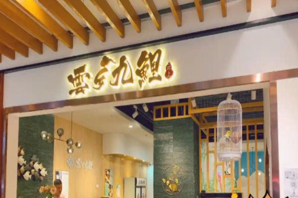 云乡九鲤石锅鱼加盟