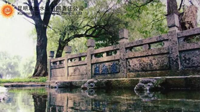 承龙水业