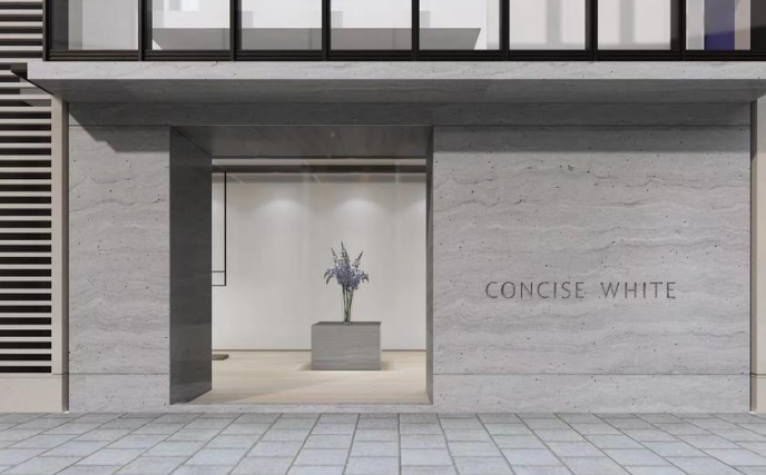 CONCISE HOME