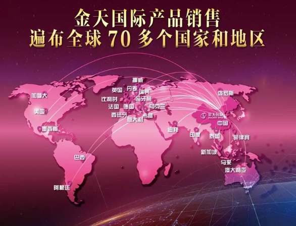 金天国际