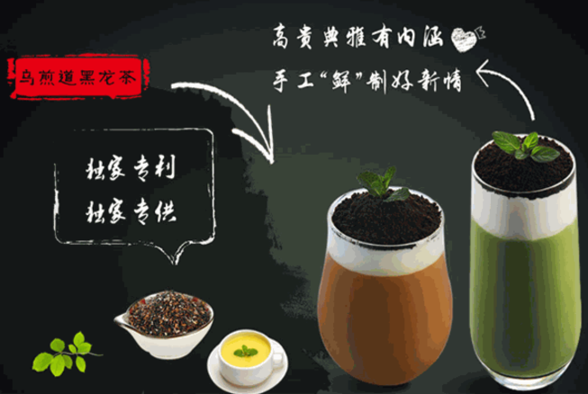 乌煎道黑龙茶加盟