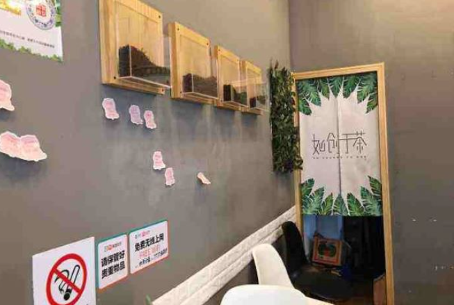 如创于茶加盟
