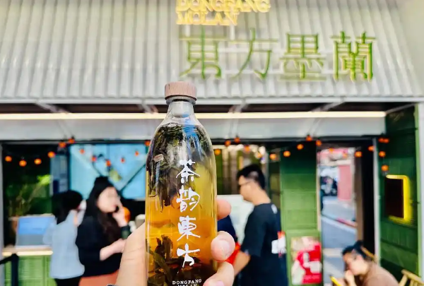 东方墨兰奶茶加盟