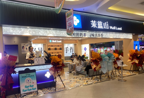茉蓝山加盟