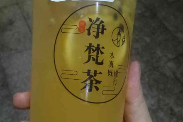 净梵茶饮品