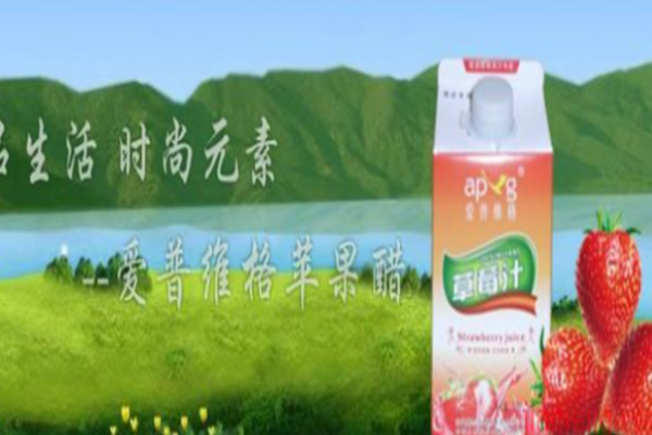 爱普维格
