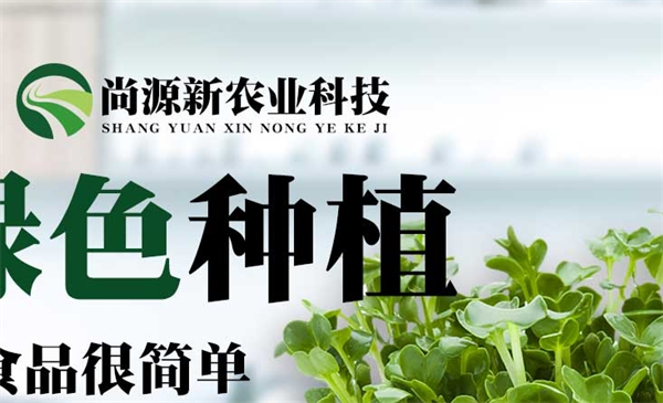 尚源新农业芽苗菜
