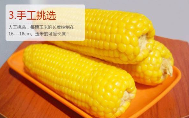 中美国玉