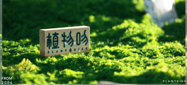 植物吻染发