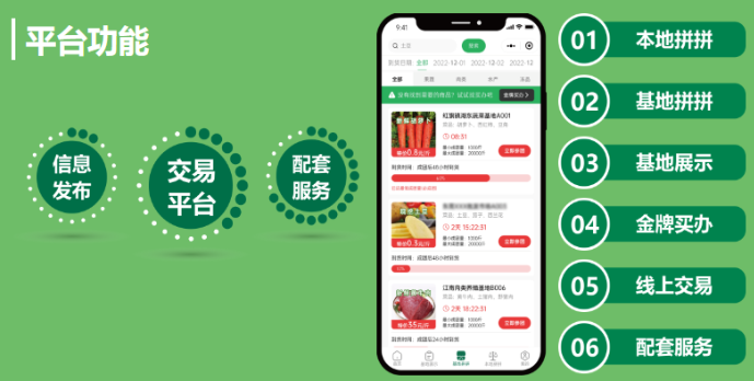 采拼拼