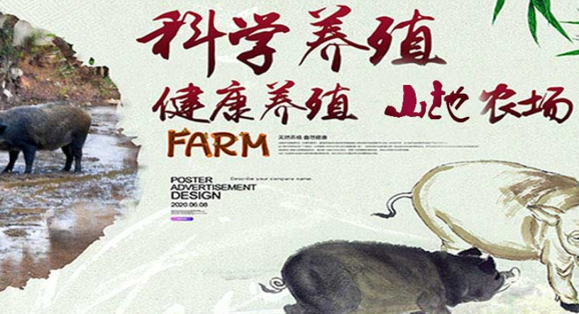 三泰食品