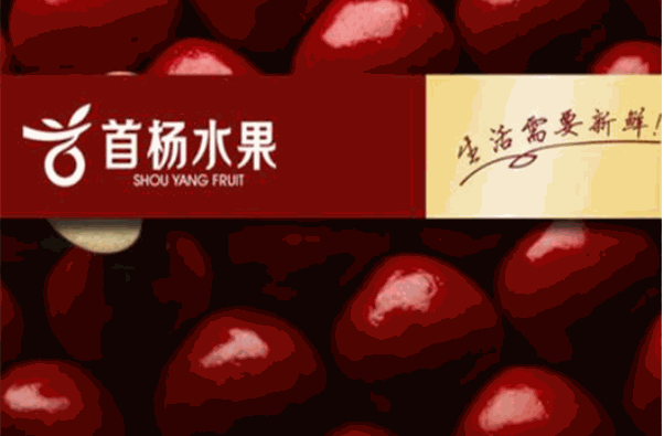 首杨水果加盟