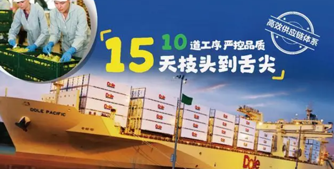 都乐水果加盟
