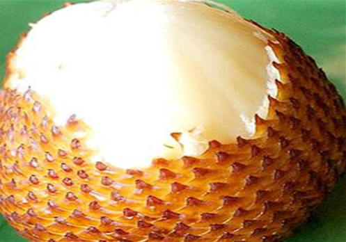 先锋水果加盟