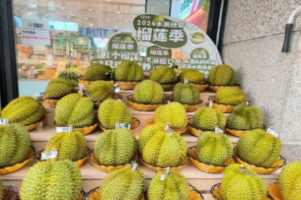 水果地带加盟