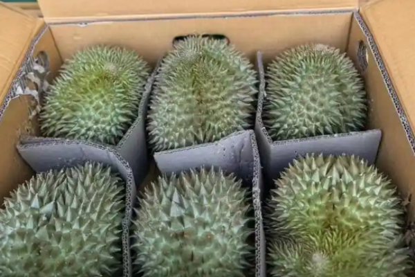 果子熟了水果店
