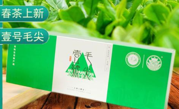 古楼雪峰云雾茶
