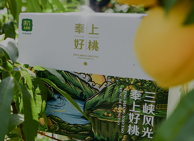 洪九果品加盟