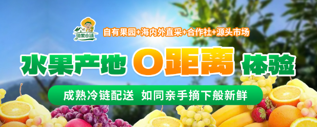 仙果小镇水果店加盟