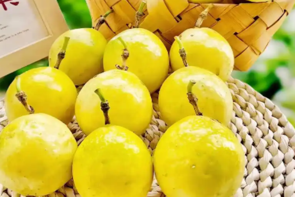 仙丰果趣水果加盟