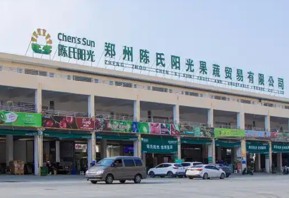 陈氏阳光