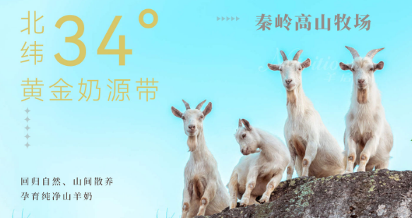羊启家羊奶粉