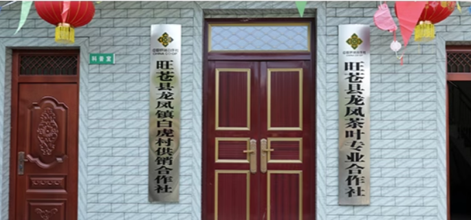 双龙茶业