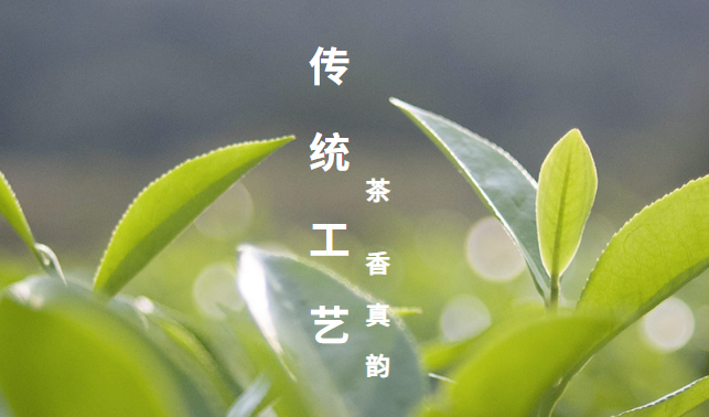 海山茶业