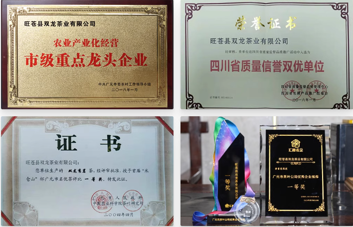双龙茶业