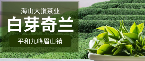海山茶业
