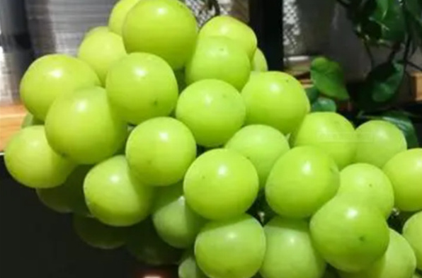 果唯鲜水果店加盟