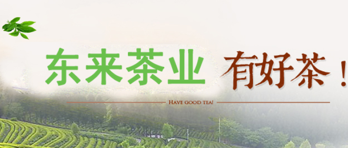 东来茶业