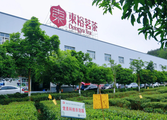 东裕茶业