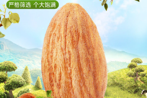 如水坚果加盟