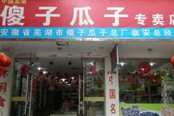 傻子瓜子加盟