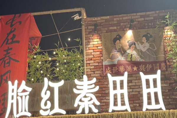 脸红秦田田奶茶加盟