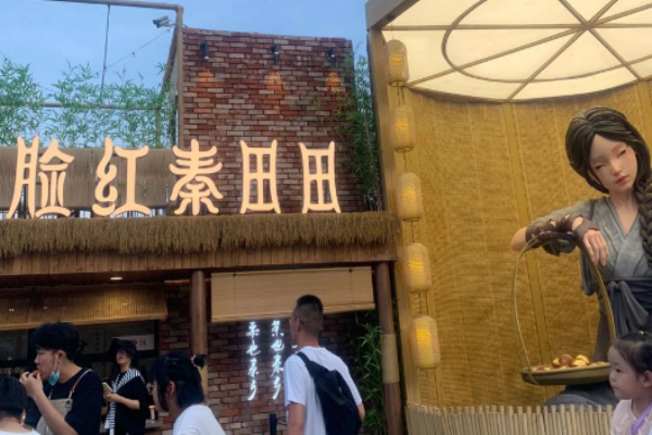 脸红秦田田奶茶加盟