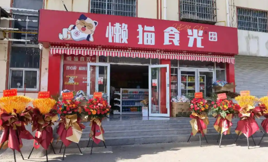 懒猫食光零食加盟