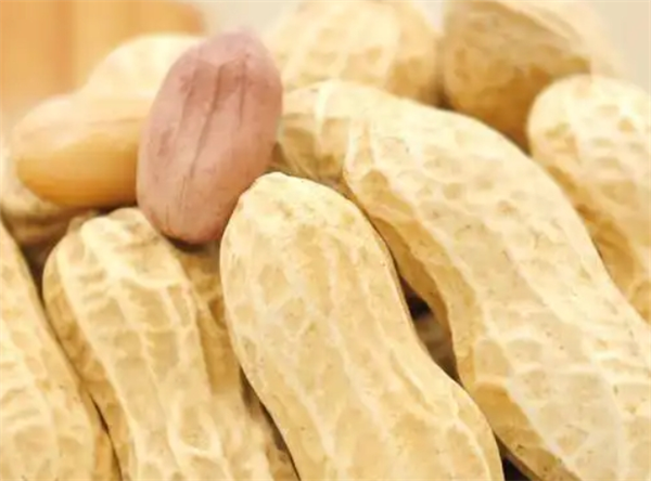 绿源香炒货