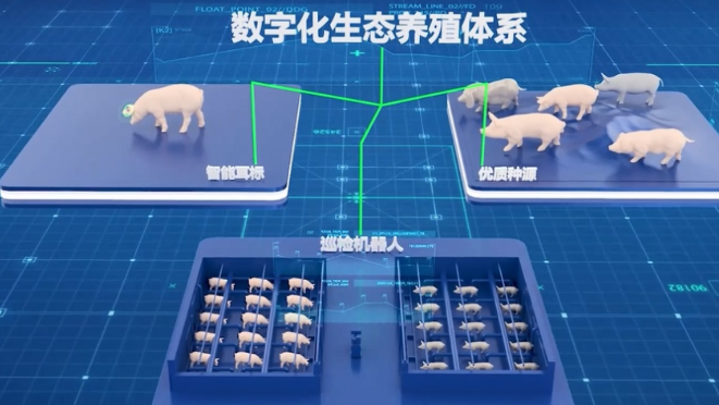 青莲食品