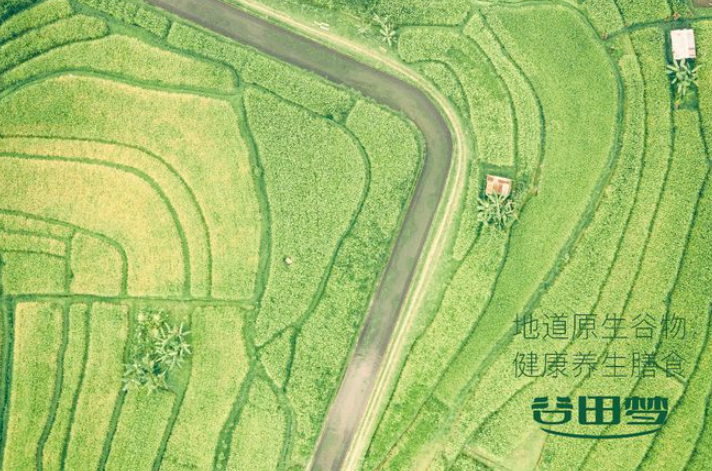 谷田梦