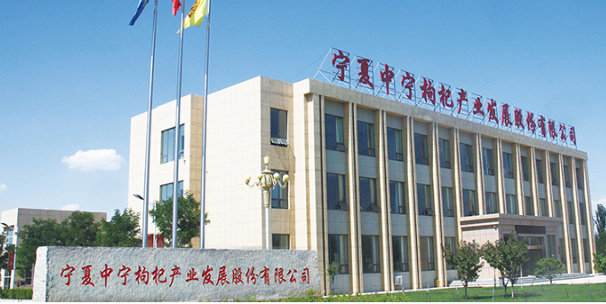 红畔中宁枸杞
