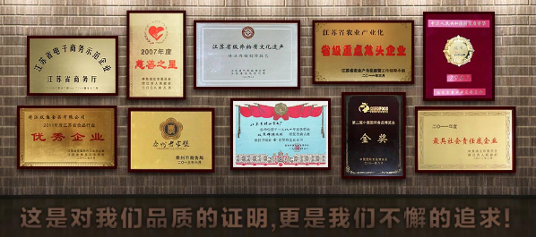 双鱼食品