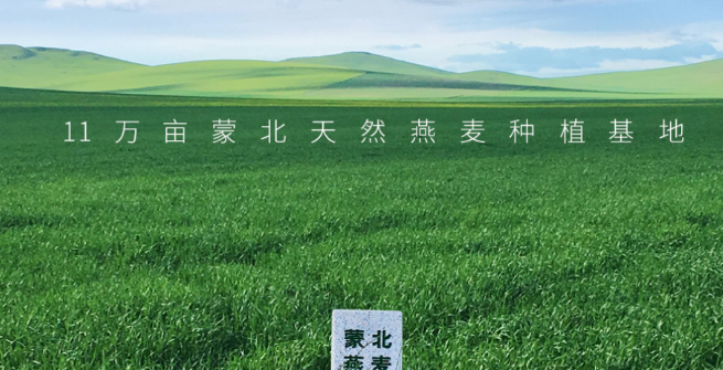 蒙北燕麦