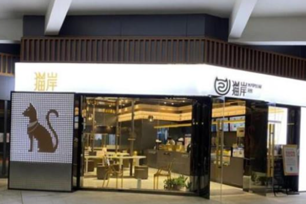 猫岸茶饮加盟