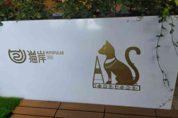 猫岸茶饮加盟