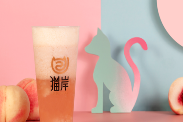 猫岸茶饮加盟